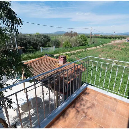 Irinas * Nea Triglia