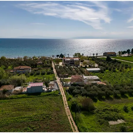 Irinas Nea Triglia